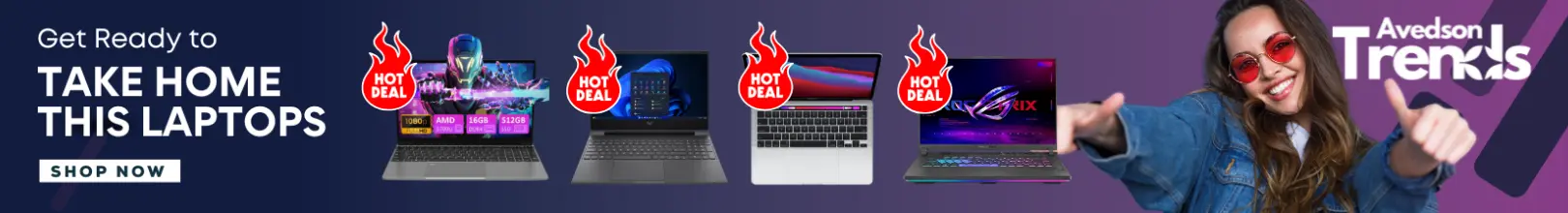 Laptop Mania Banner